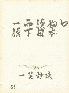 一面膜胸口一面膜下日本