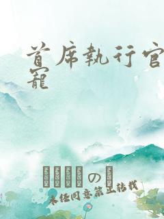 首席执行官的绝宠