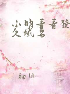 小明看看发布永久域名