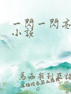 一闪一闪亮晶晶小说