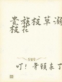 贵族校草溺爱拽校花