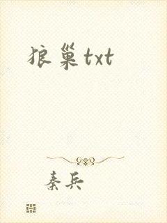 狼巢txt