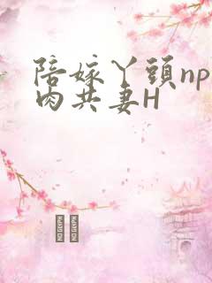 陪嫁丫头np全肉共妻H