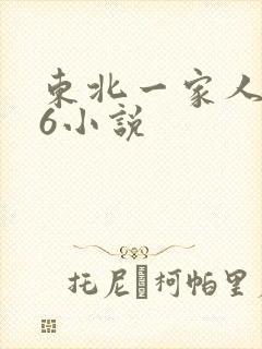东北一家人1一6小说