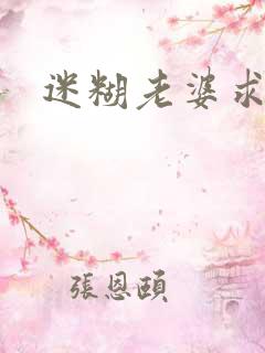 迷糊老婆求错婚