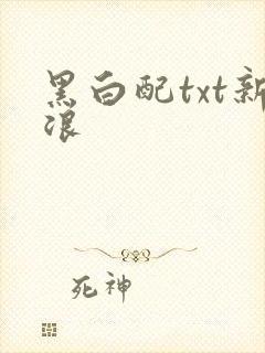 黑白配txt新浪