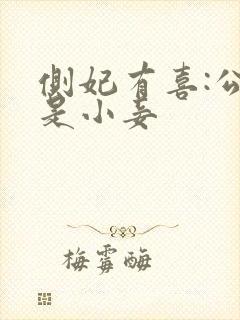 侧妃有喜:公主是小妾