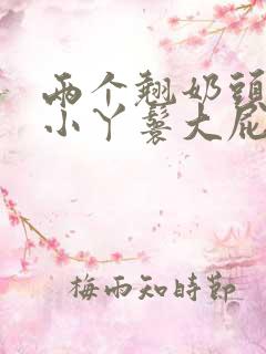 两个翘奶头泄欲小丫鬟大屁股