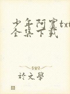 少年阿宾txt全集下载