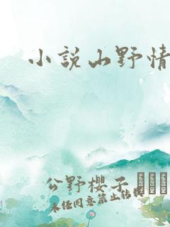 小说山野情债