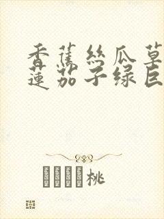 香蕉丝瓜草莓榴莲茄子绿巨人免费