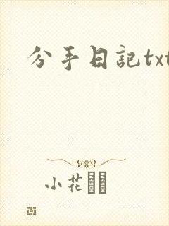 分手日记txt