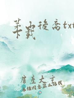 茅山后裔txt下载