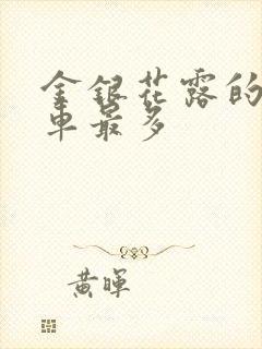 金银花露的哪个车最多