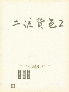 二流货色2