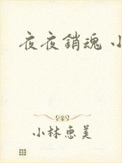 夜夜销魂 小说