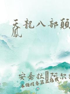 天龙八部颠龙鸾凤