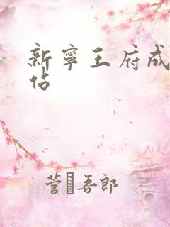 新宁王府成人网站