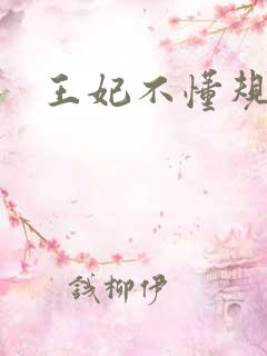 王妃不懂规矩