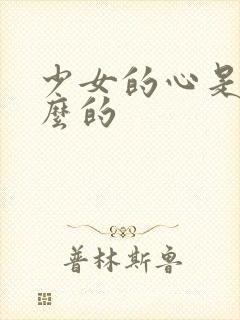少女的心是讲什么的