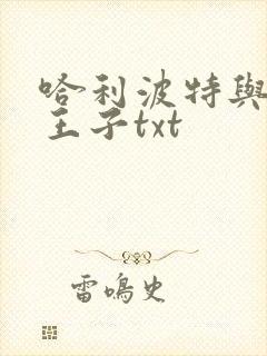 哈利波特与混血王子txt