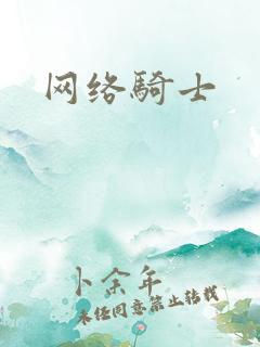 网络骑士