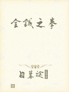 金钱之拳