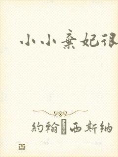 小小弃妃很倾城