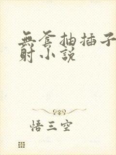 无套抽插子宫内射小说