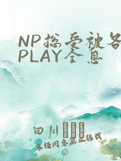 NP总受被各种PLAY全息