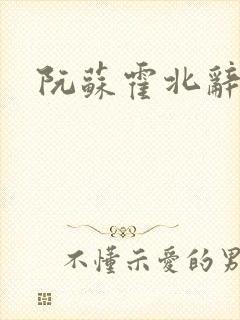 阮苏霍北辞小说