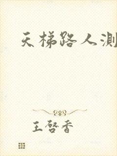 天梯路人测试器