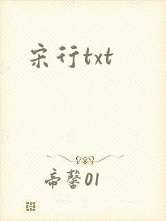 宋行txt