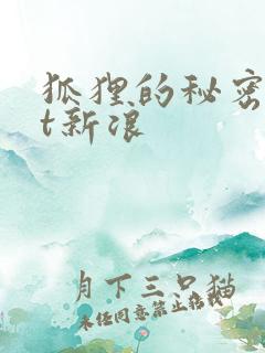 狐狸的秘密txt新浪