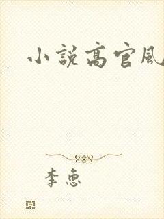 小说高官风流