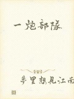 一炮部队