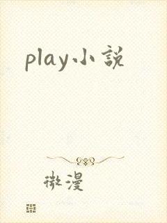 play小说