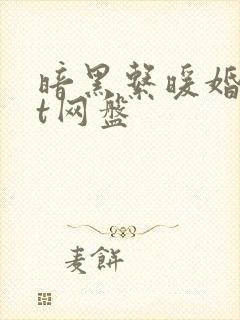 暗黑系暖婚txt网盘