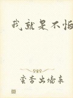 我就是不怕小说