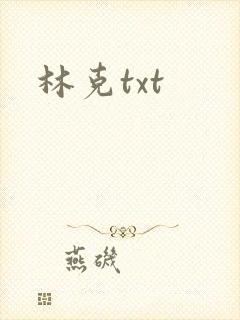 林克txt