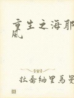 重生之海耶斯旋风