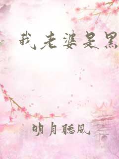 我老婆是黑社会