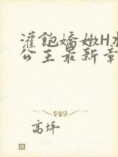 灌饱娇嫩H将军公主最新章节