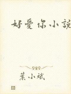 好爱你小说