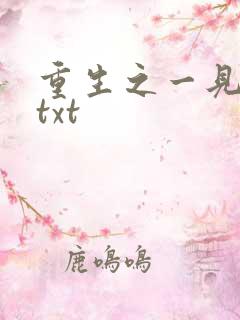重生之一见倾心txt