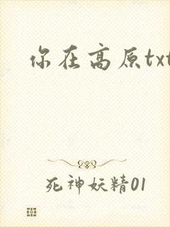 你在高原txt