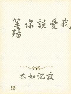等你说爱我之云殇