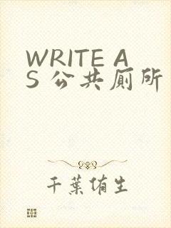 WRITE AS 公共厕所