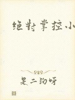 绝对掌控小说
