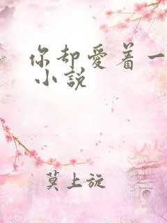 你却爱着一个他 小说